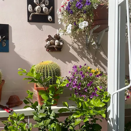 Bed & Breakfast Imagine 3*
